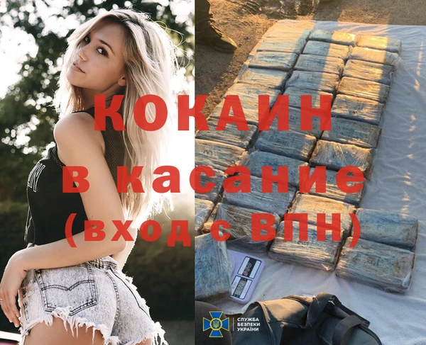 винт Абаза