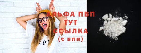 винт Абаза