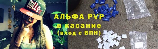 винт Абаза
