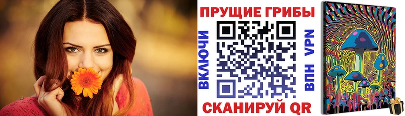 Галлюциногенные грибы Psilocybine cubensis МЕГА сайт Александров